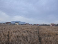teren_brasov_stupini